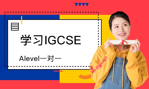 长沙学习IGCSE