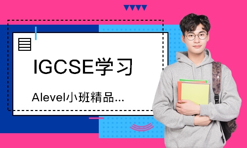 长沙IGCSE学习