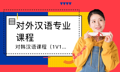 天津对韩汉语课程（1V1）