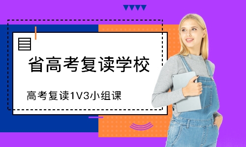 深圳高考复读1V3小组课