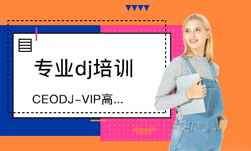 天津CEODJ-VIP高级班课程