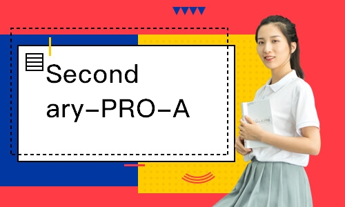 济南Secondary-PRO-A