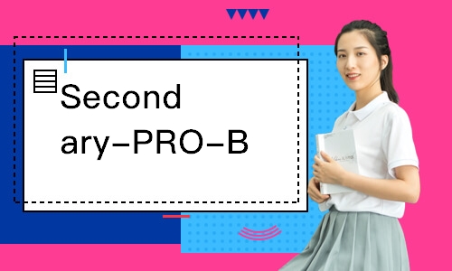 Secondary-PRO-B