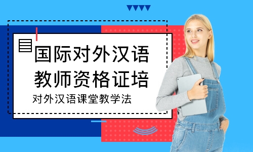 郑州国际对外汉语教师资格证培训