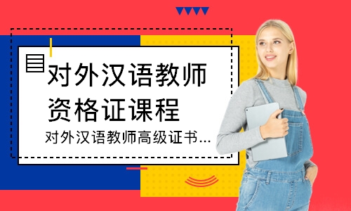 上海对外汉语教师高级证书班