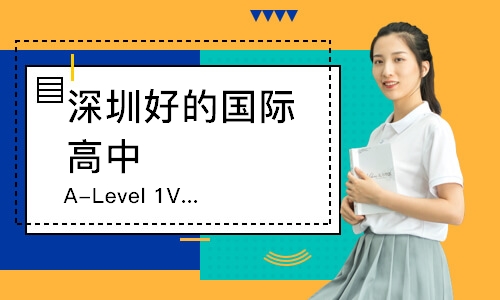 深圳A-Level1V1或2-4人小班周末同步提高课程