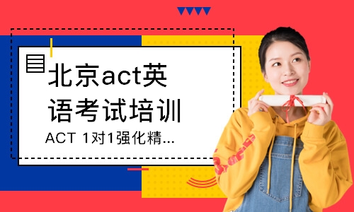北京ACT1对1强化精品班