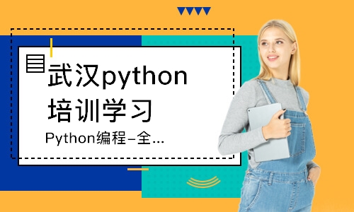 武汉Python编程-全套系统班
