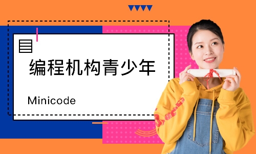 宁波Minicode