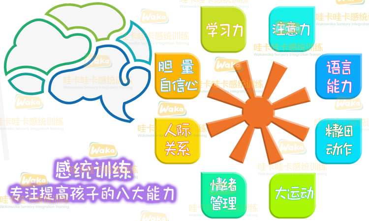 郑州哇卡少年感统训练中心