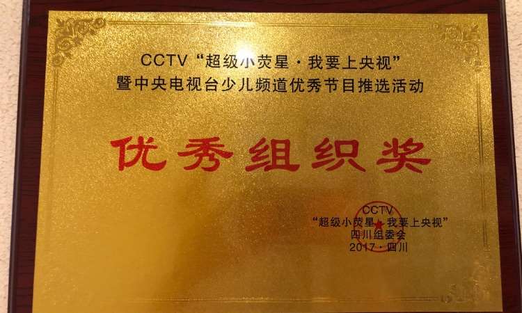 CCTV优秀组织奖