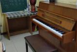 哈尔滨南岗区钢琴培训机构推荐