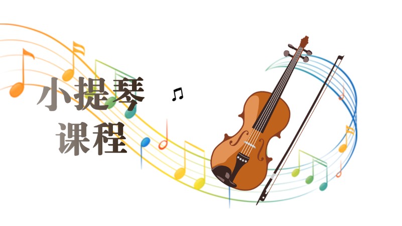 成都/成人小提琴培训