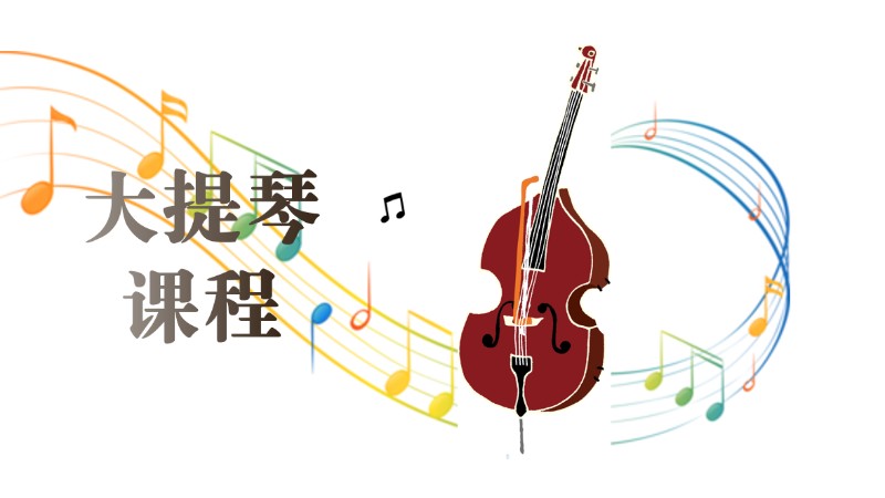 成都/成人大提琴培训