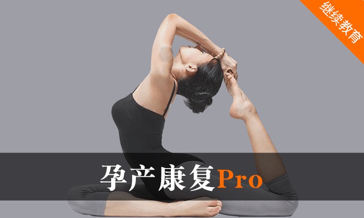 北京孕产康复Pro