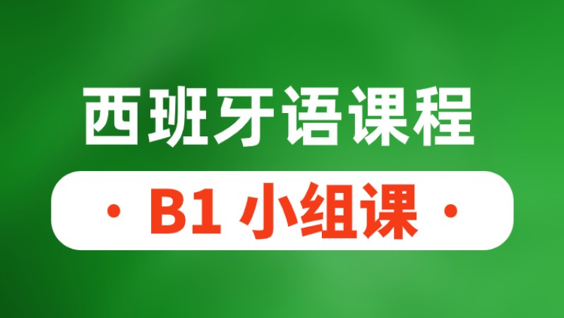 青岛西语B1精品小组课