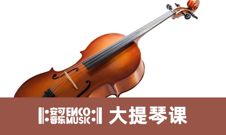 南京大提琴成人培训