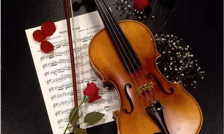 西安小提琴零基础线上培训课程