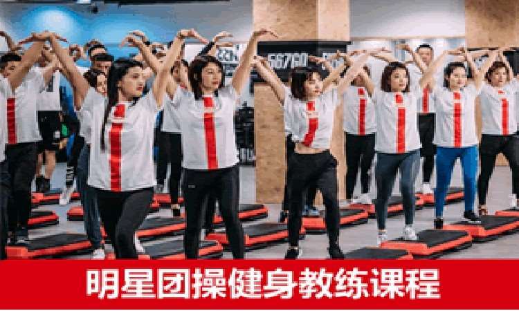 郑州567GO·明星团操健身教练课程培训