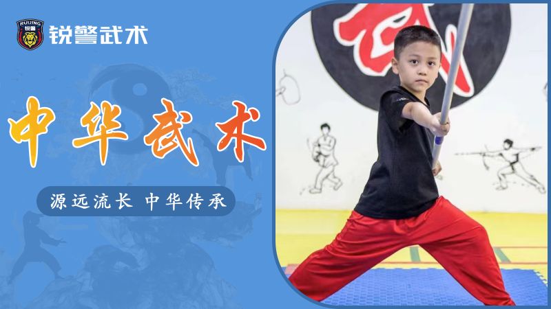 广州儿童武术学习班