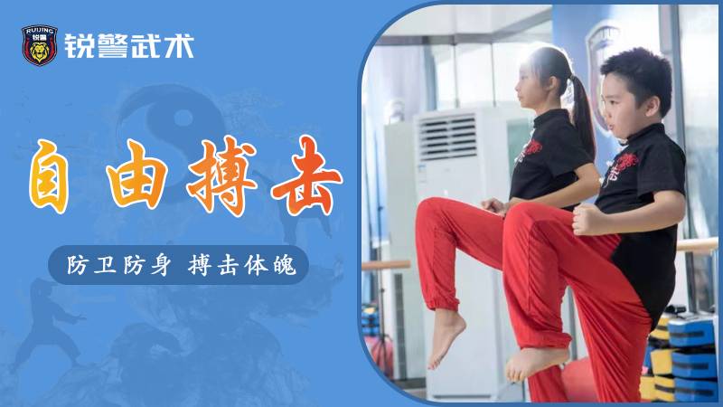 广州-自由搏击-拳击搏击训练