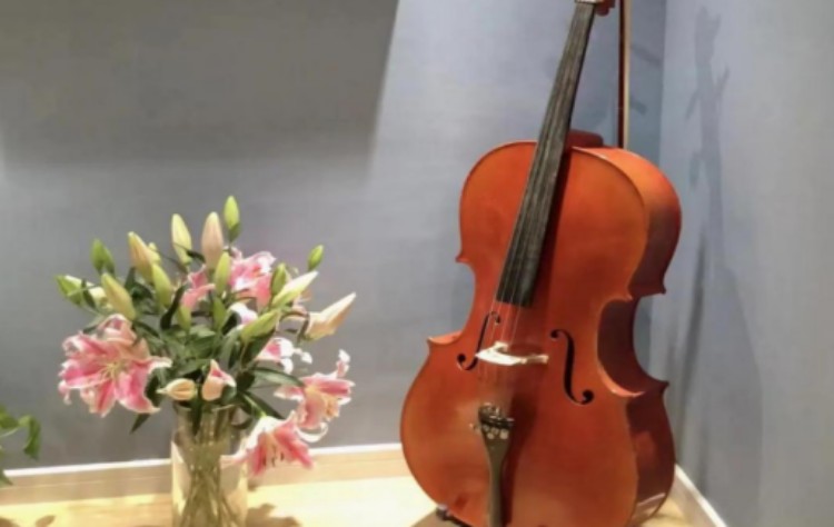 深圳大提琴培训学校