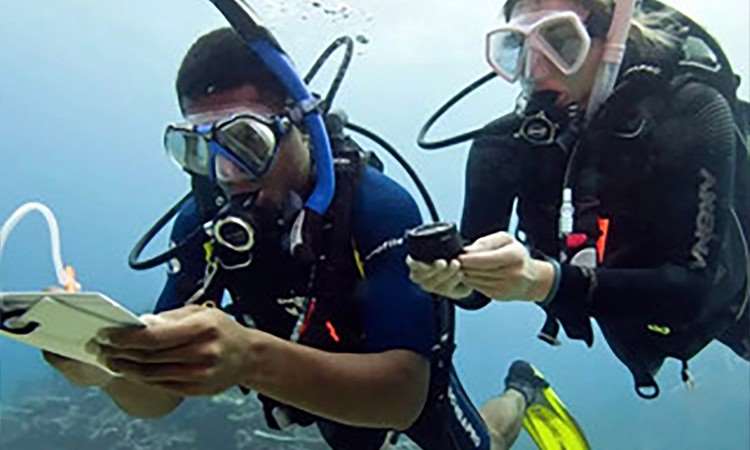 西安OW开放水域潜水员课程