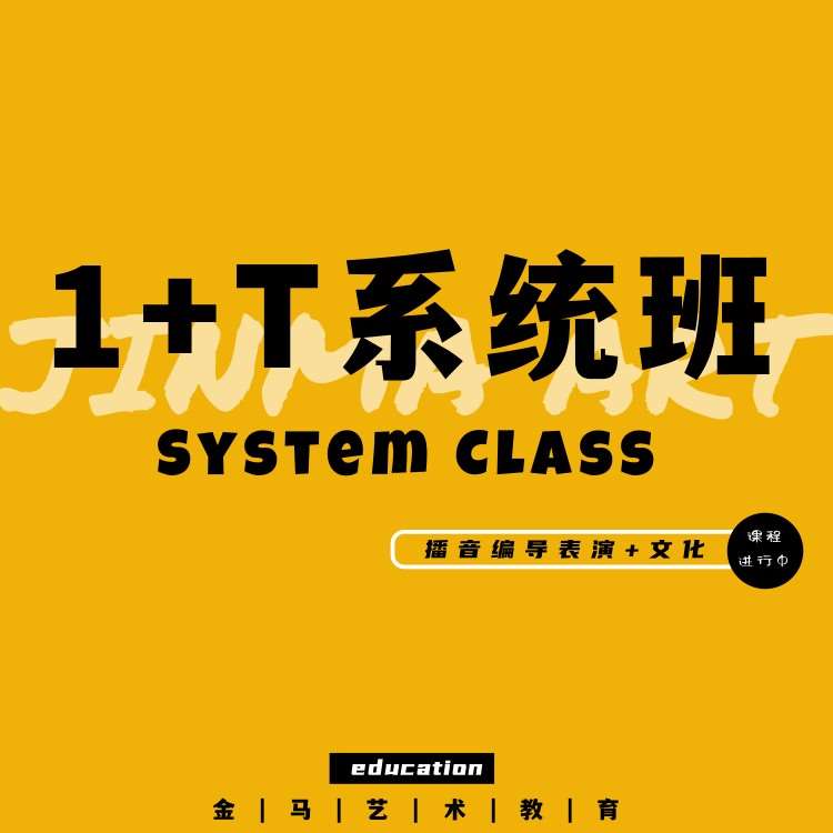 太原社会艺考生文化课1+T系统课（二）
