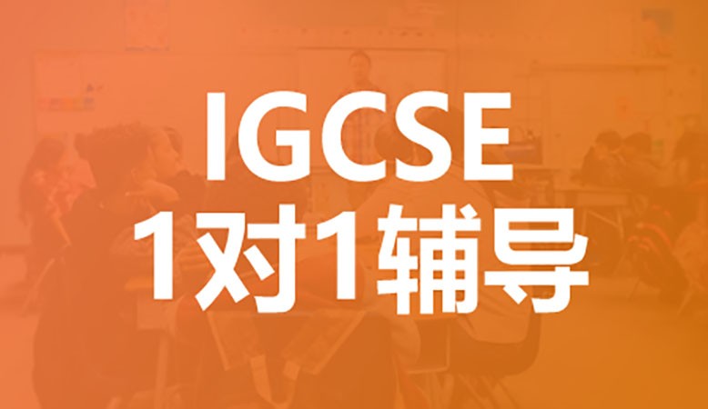 IGCSE个性化1对1课程