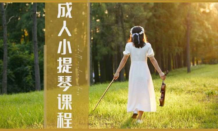 南京成人学小提琴培训班