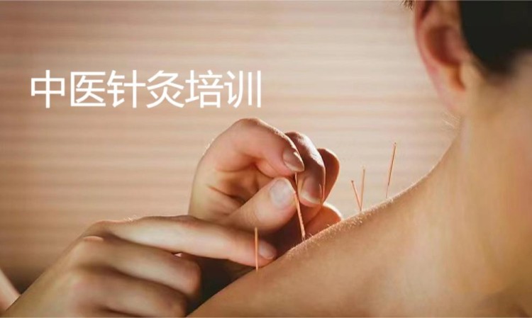 上海针灸学习班