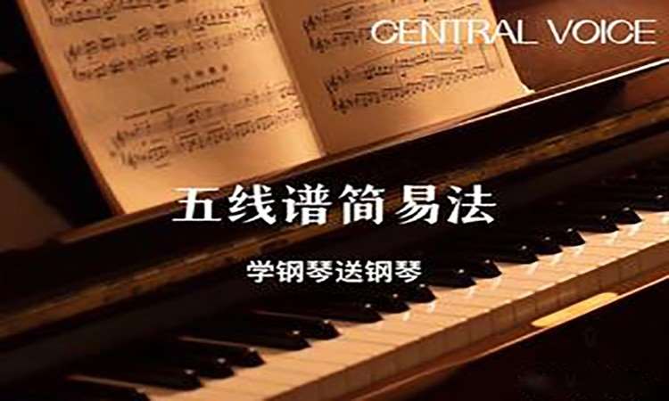 长沙零基础钢琴五线谱简易法1V1