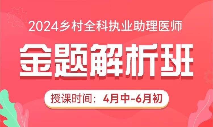 武汉2024乡村全科执业助理医师金题解析班