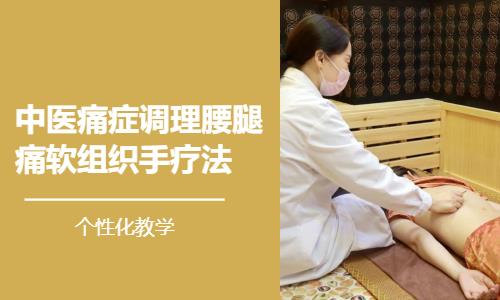 东莞中医痛症调理腰腿痛软组织手疗法课程