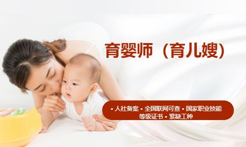 杭州专业育婴师培训机构