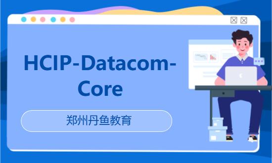 郑州HCIP-Datacom-Core