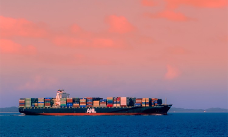 国际航运贸易与运输：探索海牙规则