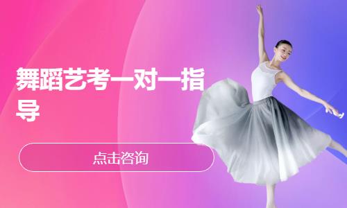 郑州舞蹈类校考一对一指导培训