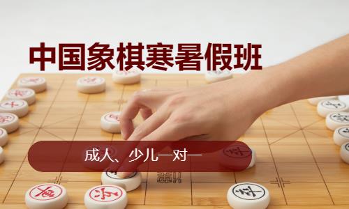 济南中国象棋寒假班