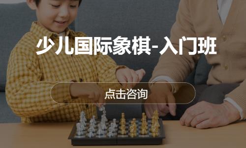 少儿国际象棋-入门班