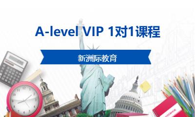 A-level VIP 1对1课程