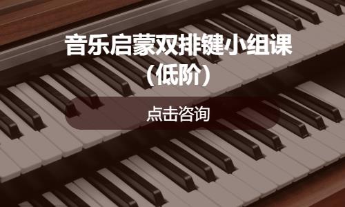 杭州音乐启蒙双排键小组课（低阶）