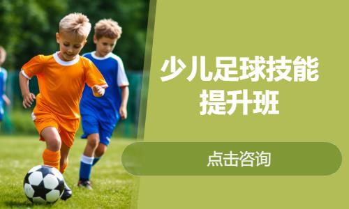 北京少儿足球技能提升班