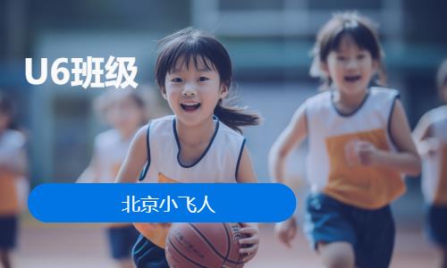 北京少儿篮球培训