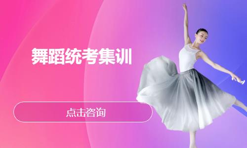 南京舞蹈高考培训