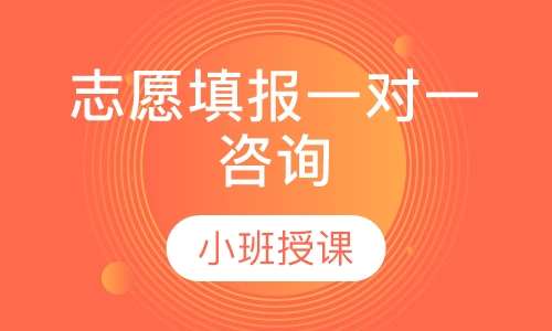 志愿填报一对一咨询