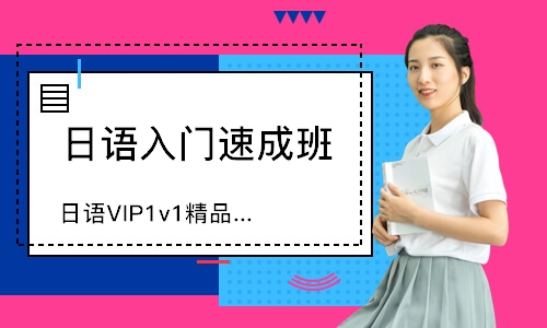 日语VIP1v1精品班