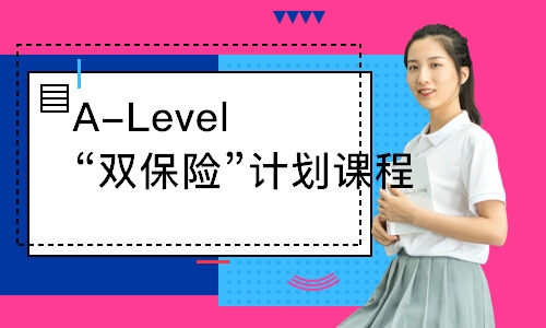 广州A-Level“双保险”计划课程