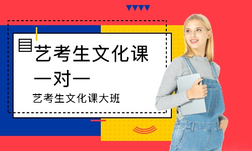 重庆社会艺考生文化课大班-艺考培训机构
