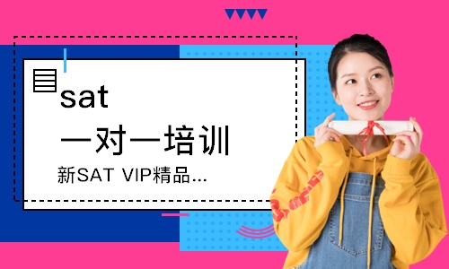 新SAT VIP精品精讲班（1300/1400分）